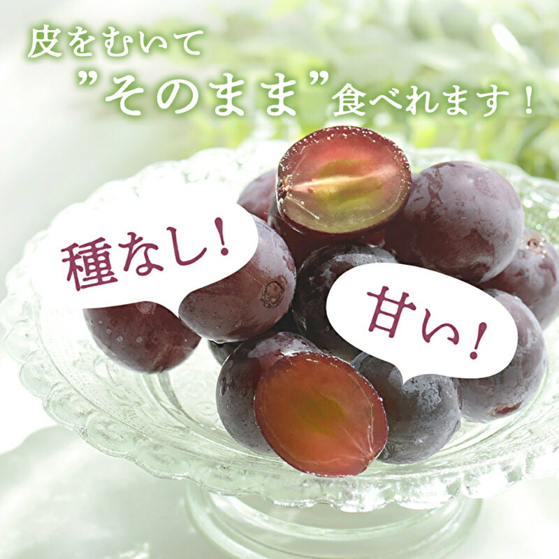 【ふるさと納税】ゴールデンベリーA 約2kg 3～5房 【2026年産 予約受付】 ぶどう ブドウ 葡萄 お取り寄せ フルーツ 果物 種なし 甘い おすすめ 美味しい 選果場直送 送料無料 ギフト 贈答 兵庫県　お届け：2026年8月下旬～2026年9月上旬 サムネイル3
