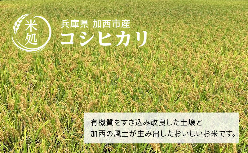 【ふるさと納税】米 令和7年産 コシヒカリ 6kg (3kg×2袋) 精米 白米 お米 こめ こしひかり - 画像3
