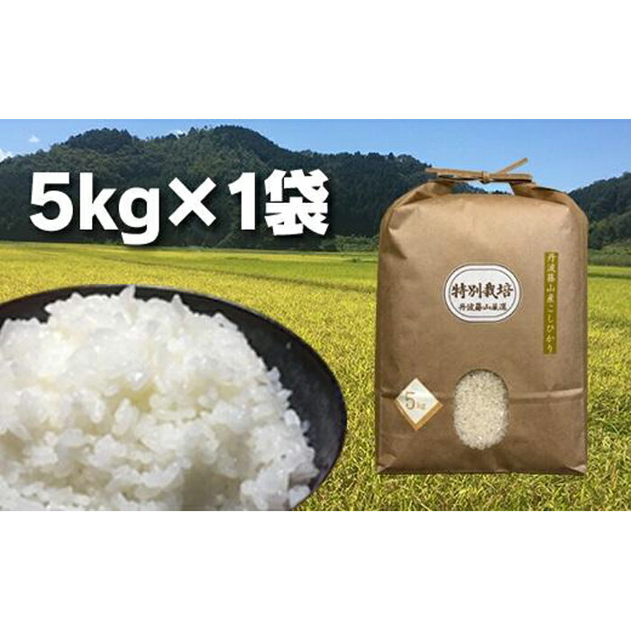 【ふるさと納税】【令和7年産】丹波篠山の地醤油漬、佃煮セット　特別栽培米5kgと実山椒・山蕗 | 白米 100％単一原料米 産地直送米 おいしい お米 精米 コシヒカリ ブランド おこめ 健康 送料無料 おすすめ 人気 口コミ - 画像2
