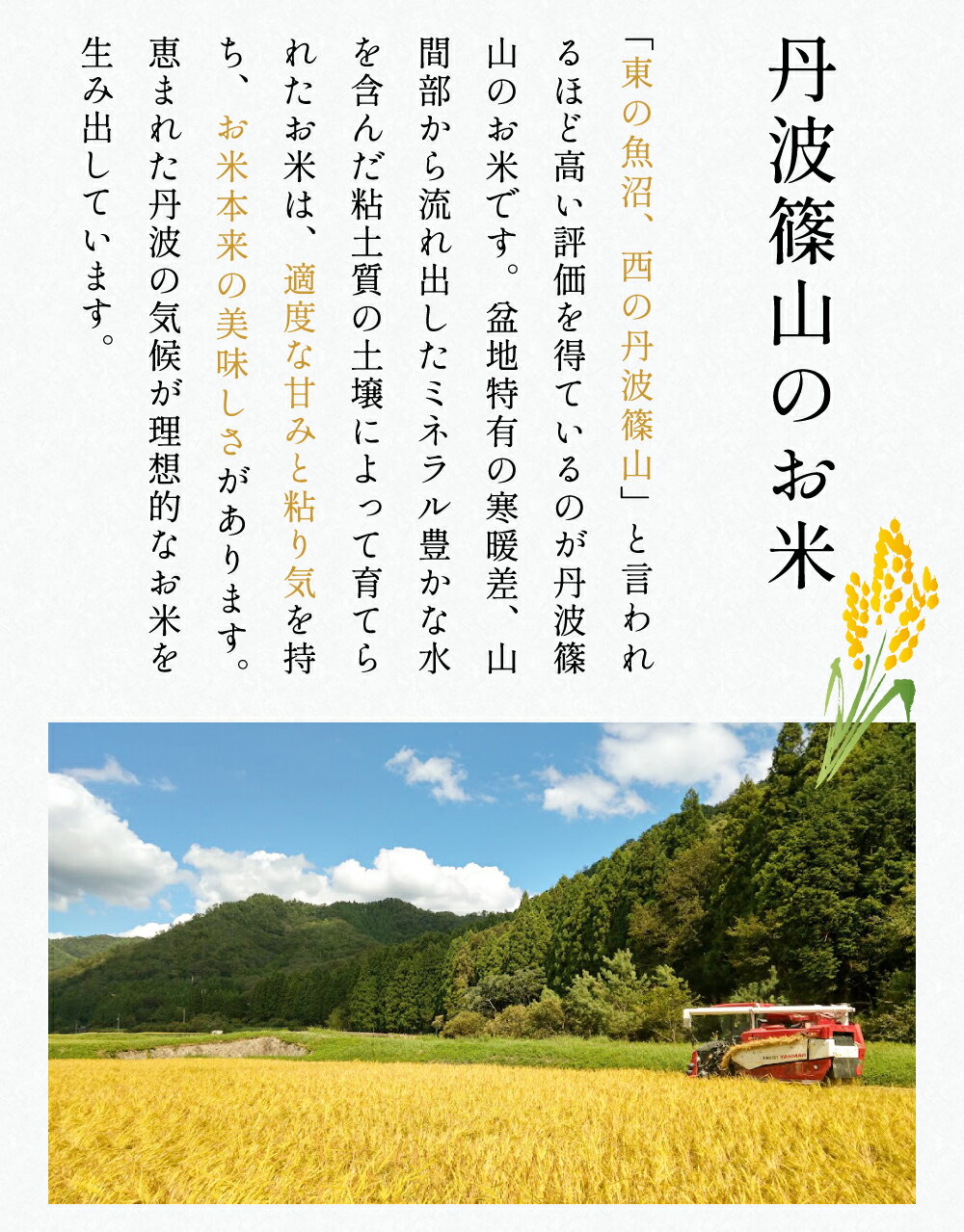 【ふるさと納税】【令和7年産】丹波篠山産特別栽培コシヒカリ 白米 5kg と 丹波篠山産特別栽培ミルキークイーン 白米 5kg 兵庫県 丹波篠山市 白米 100％単一原料米 産地直送米 おいしい お米 精米 ブランド おこめ 健康 ギフト 人気 口コミ - 画像3
