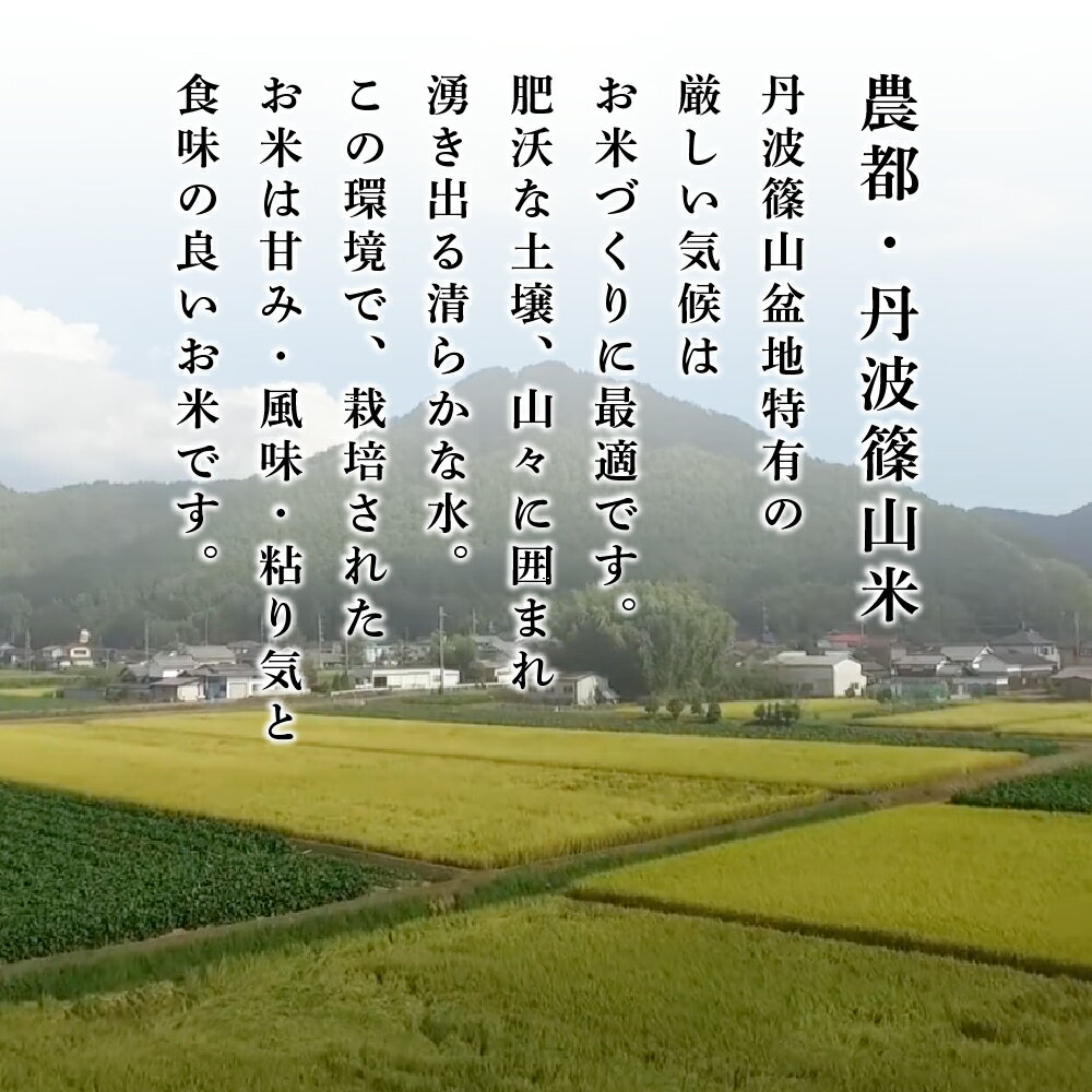【ふるさと納税】〈受賞米！〉令和7年産 丹波篠山産 コシヒカリ じっくり 精米 （ 5kg 10kg 15kg 20kg 25kg ） | 兵庫県 丹波篠山市 丹波 白米 100％単一原料米 産地直送米 おいしい お米 精米 こしひかり おこめ - 画像3