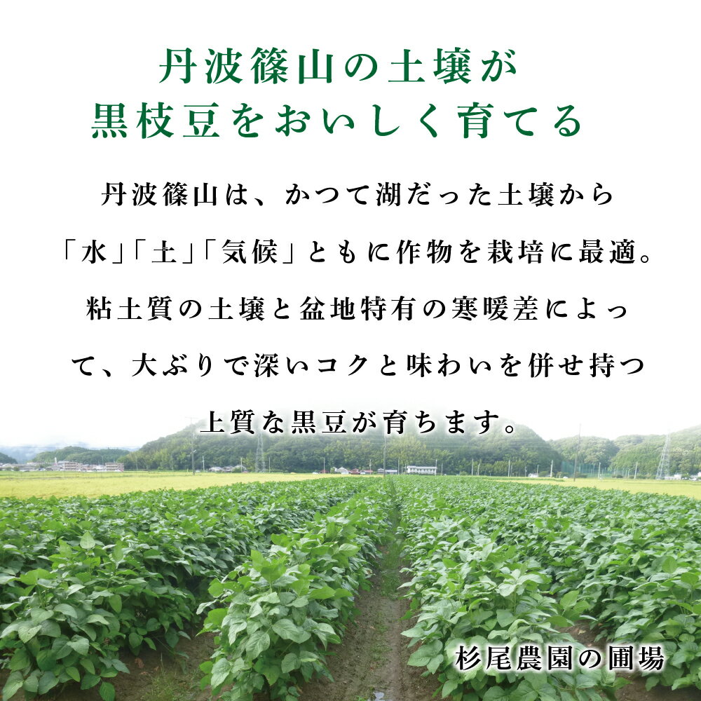 【ふるさと納税】【早期予約・R8年10月発送】丹波篠山 黒枝豆 さやのみ 400g x 5袋 2kg （朝採り・産地直送）個包装 | 兵庫県 丹波篠山市 枝豆 期間限定 黒枝豆 えだまめ エダマメ 丹波 お取り寄せグルメ 高級 特産品 名産品 おつまみ おうち居酒屋 - 画像2