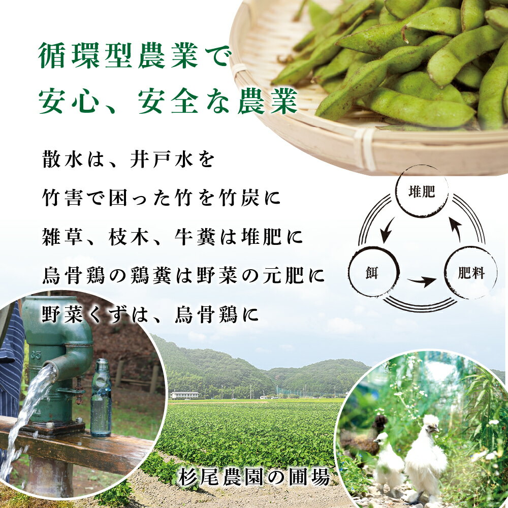 【ふるさと納税】【早期予約・R8年10月発送】丹波篠山 黒枝豆 さやのみ 400g x 5袋 2kg （朝採り・産地直送）個包装 | 兵庫県 丹波篠山市 枝豆 期間限定 黒枝豆 えだまめ エダマメ 丹波 お取り寄せグルメ 高級 特産品 名産品 おつまみ おうち居酒屋 - 画像3