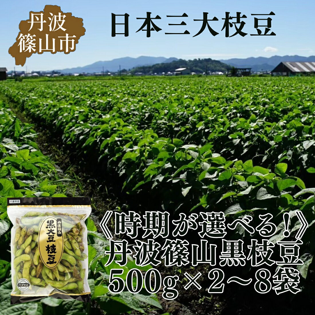 早期予約！秋の味覚「丹波黒枝豆」　収穫時期を選べる！ 500g × 2〜8袋　 【2026年10月以降発送】 | 兵庫県 丹波篠山市 プレミアム枝豆 期間限定 黒枝豆 えだまめ エダマメ お取り寄せグルメ 高級 特産品 名産品 おつまみ おうち居酒屋