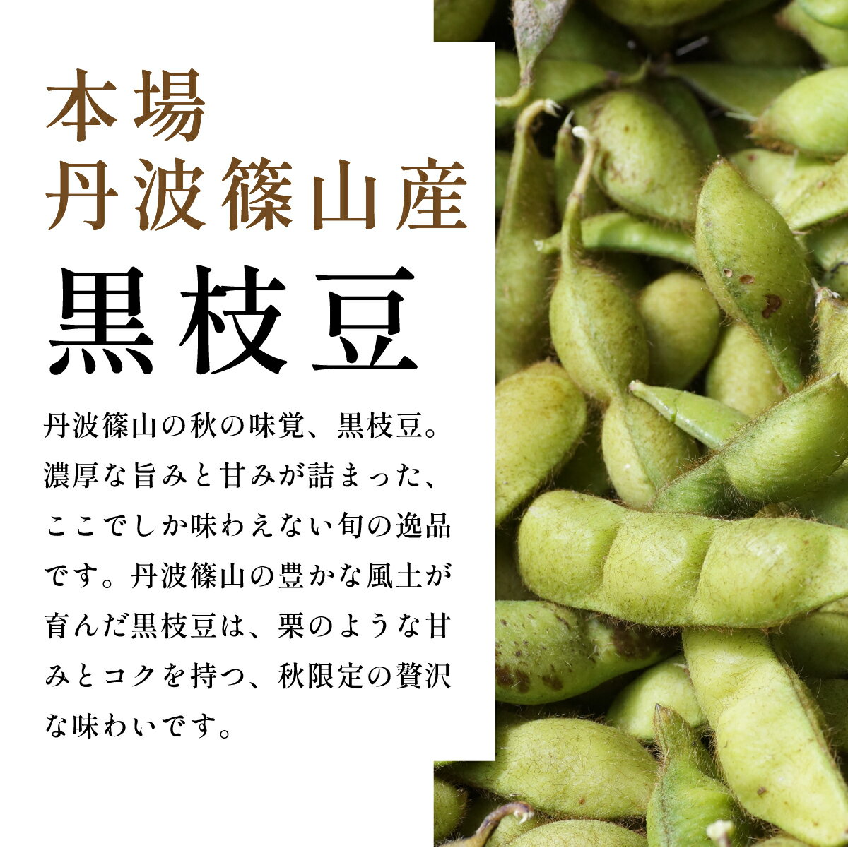 【ふるさと納税】〈早期予約/R8年10月中旬～11月初旬発送〉丹波篠山産 黒枝豆 さや 丹波篠山産 完熟枝豆 農家直送 期間限定 1kg 1.5kg 2kg 2.5kg 3kg 数量 選べる【黒枝豆 枝豆 えだまめ エダマメ 丹波黒 丹波枝豆】 - 画像2