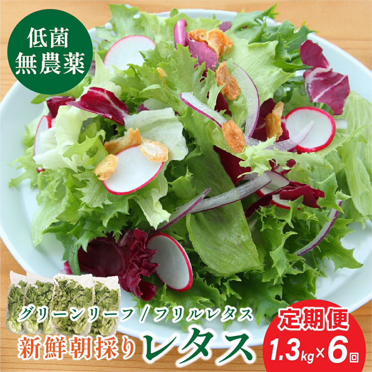 【 定期便 】 無農薬 朝採り フリルレタス グリーンリーフレタス 個包装 2種類 1.3kg　6回 | 兵庫県 丹波篠山市 洗わずに食べられる 新鮮 野菜直送 フレッシュ サラダ用野菜 健康志向 産地直送 緑黄色野菜 新鮮 安心野菜 レタスボウル カロテン