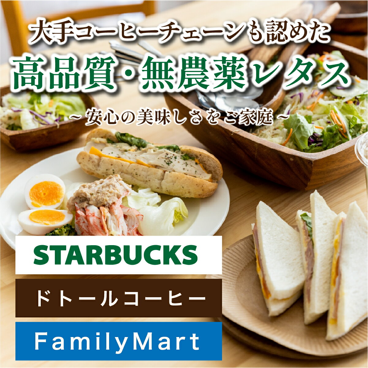 【ふるさと納税】【 定期便 】 無農薬 朝採り フリルレタス グリーンリーフレタス 個包装 2種類 1.3kg　6回 | 兵庫県 丹波篠山市 洗わずに食べられる 新鮮 野菜直送 フレッシュ サラダ用野菜 健康志向 産地直送 緑黄色野菜 新鮮 安心野菜 レタスボウル カロテン - 画像2