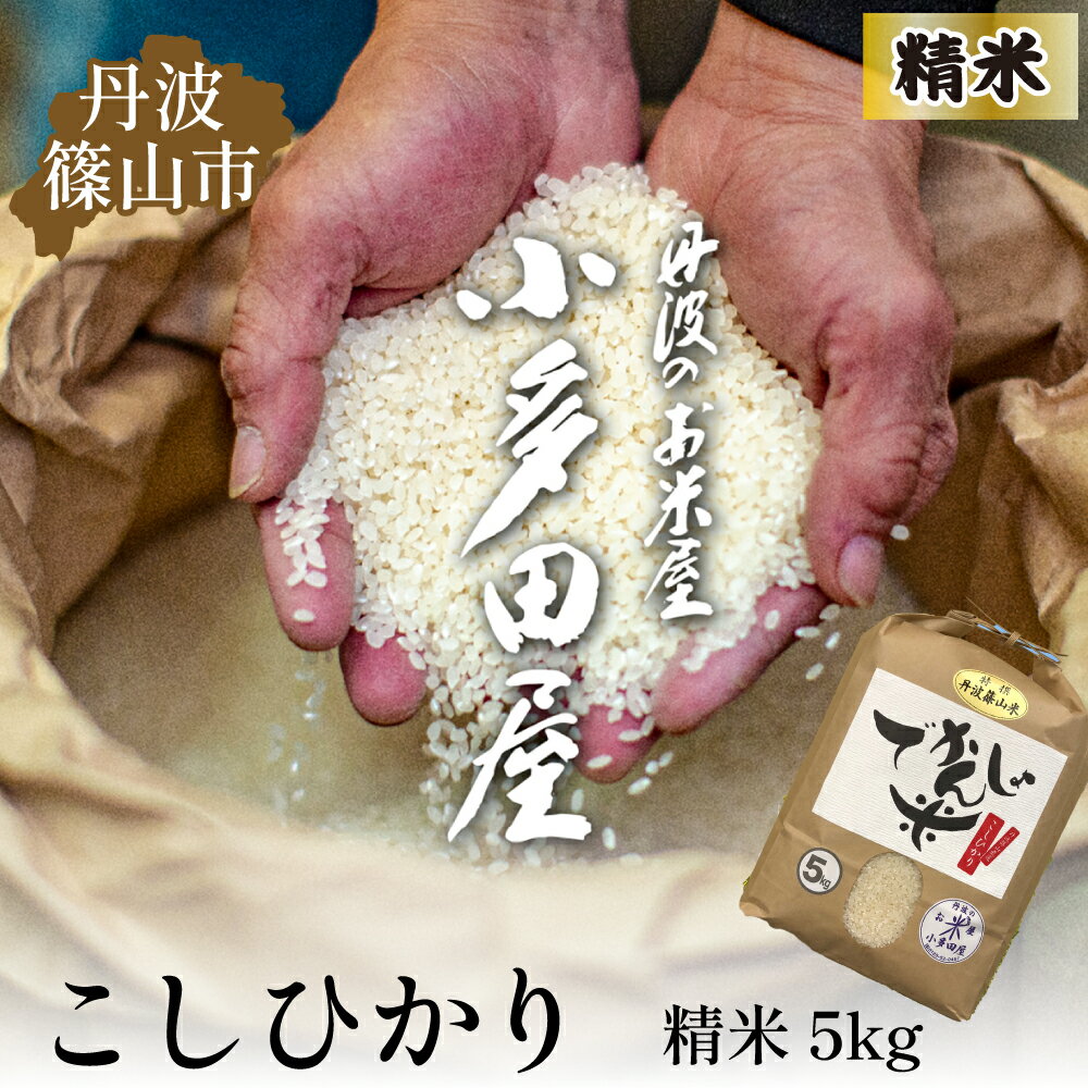 【令和7年産】お米のおいしさ伝えたい！丹波篠山産コシヒカリ5kg×1 | 白米 100％単一原料米 産地直送米 おいしい お米 精米 コシヒカリ ブランド おこめ 健康 送料無料 おすすめ 人気 口コミ