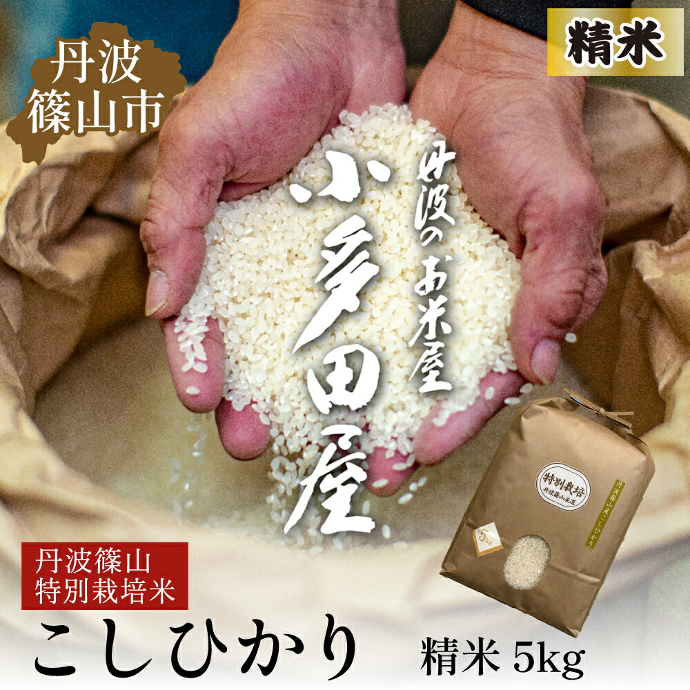 【令和7年産】お米のおいしさ伝えたい！特別栽培米コシヒカリ5kg×1 | 白米 100％単一原料米 産地直送米 おいしい お米 精米 コシヒカリ ブランド おこめ 健康 送料無料 おすすめ 人気 口コミ