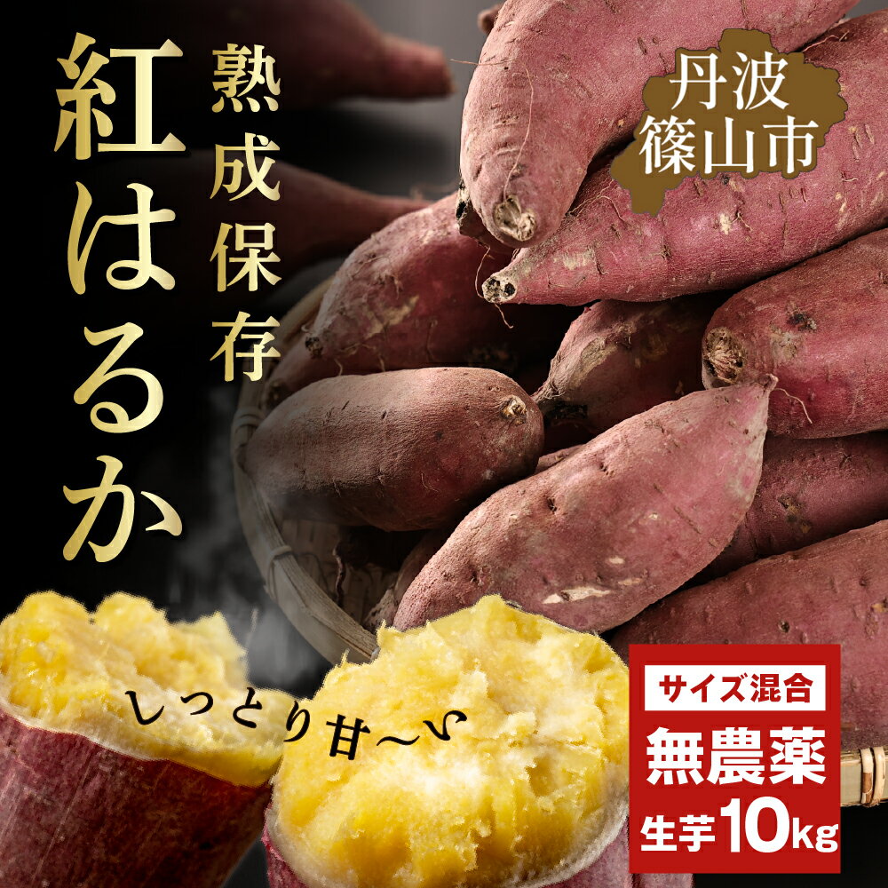 さつま芋　紅はるか 紅はるか 訳あり 規格外 サイズ混合　10kg | 兵庫県 丹波篠山市 さつまいも サツマイモ さつま芋 甘い 焼き芋 焼芋 焼いも 非常食 箱買い 大量 詰め合わせ 国産