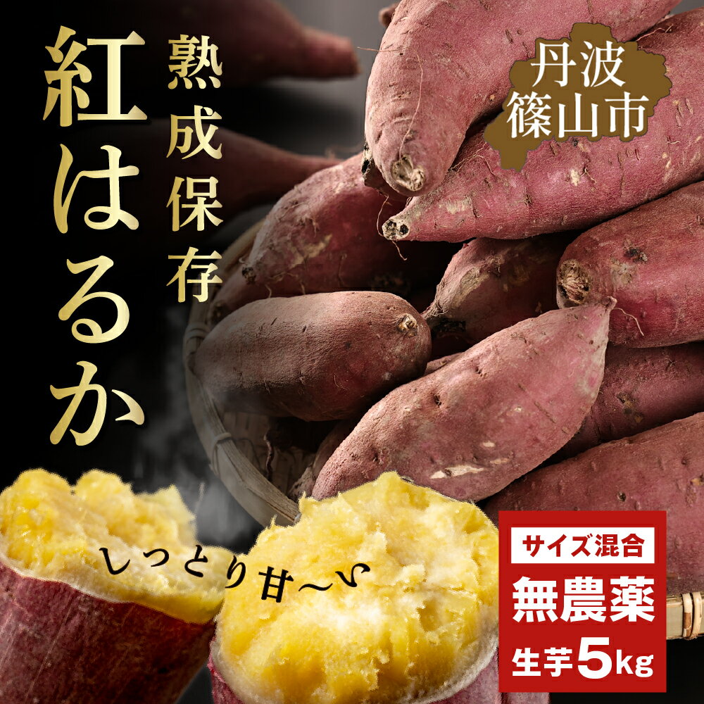さつま芋　紅はるか 訳あり 規格外 サイズ混合 5kg | 兵庫県 丹波篠山市 さつまいも サツマイモ さつま芋 甘い 焼き芋 焼芋 焼いも 非常食 箱買い 大量 詰め合わせ 国産