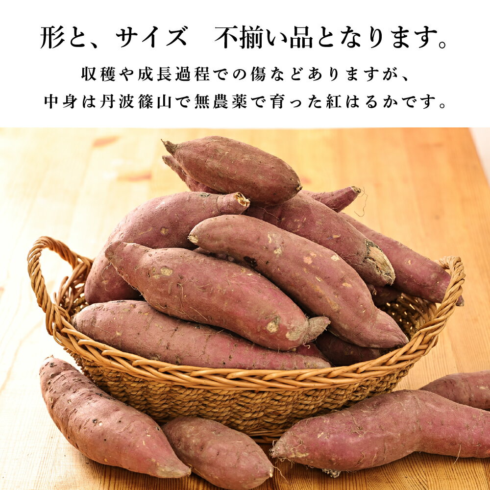 【ふるさと納税】さつま芋　紅はるか 訳あり 規格外 サイズ混合 5kg | 兵庫県 丹波篠山市 さつまいも サツマイモ さつま芋 甘い 焼き芋 焼芋 焼いも 非常食 箱買い 大量 詰め合わせ 国産 - 画像3