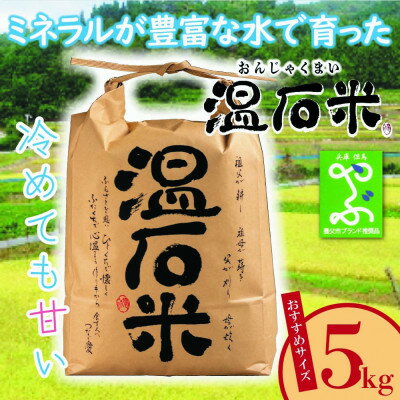 甘くて、冷めても美味しい「温石米」5kg(2025年収穫米)【1363254】