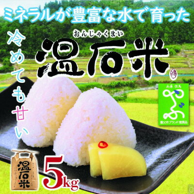 【ふるさと納税】甘くて、冷めても美味しい「温石米」5kg(2025年収穫米)【1363254】 - 画像3