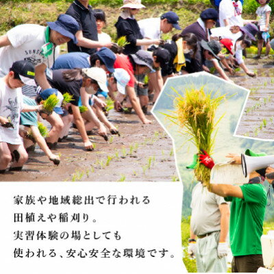 【ふるさと納税】農業特区兵庫県養父市産こしひかり5kg【1666285】 - 画像3