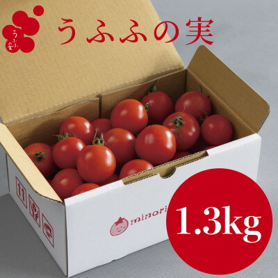 【産地直送】トマト(約1.3kg) 箱 うふふの実 高糖度フルーツトマト　アイメック【常温】【配送不可地域：離島・北海道・沖縄県】【1672591】