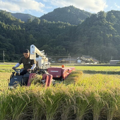 【ふるさと納税】お試し!令和8年産〈先行予約〉9月より順次発送【蛇紋岩銀粒　彩りの舞】計600g(2合×2袋)【1699934】 - 画像3