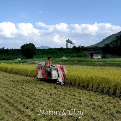 【ふるさと納税】NATURE&CLAY【残留農薬0】シロヤマクレイ米(精米)1kg【1706077】 - 画像2