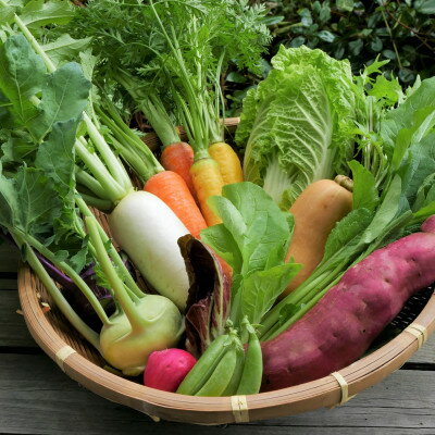 【発送月固定定期便】【6～12月】但馬の旬をお届け!採れたて野菜セット全7回【配送不可地域：離島】【4075870】