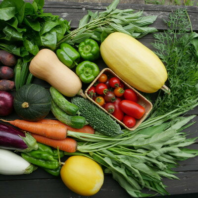 【ふるさと納税】【発送月固定定期便】【6～12月】但馬の旬をお届け!採れたて野菜セット全7回【配送不可地域：離島】【4075870】 - 画像2