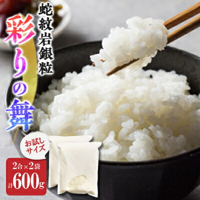 お試し!令和8年産〈先行予約〉9月より順次発送【蛇紋岩銀粒　彩りの舞】計600g(2合×2袋)【1699934】
