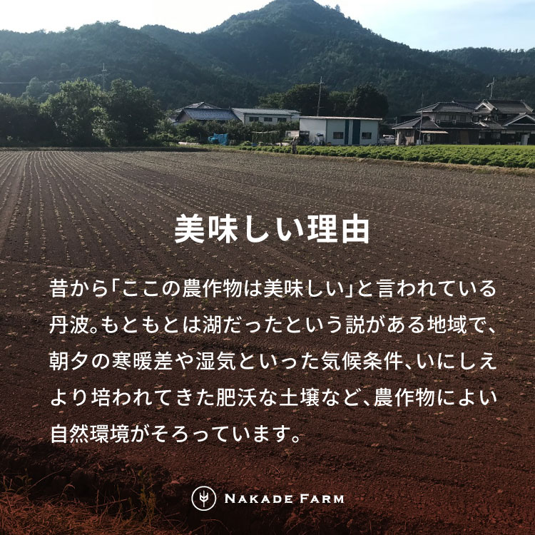 【ふるさと納税】丹波大納言ゆであずき　1.8kg - 画像2