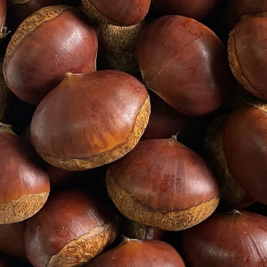 【ふるさと納税】丹波市産　熟成丹波栗3L 1kg サムネイル3