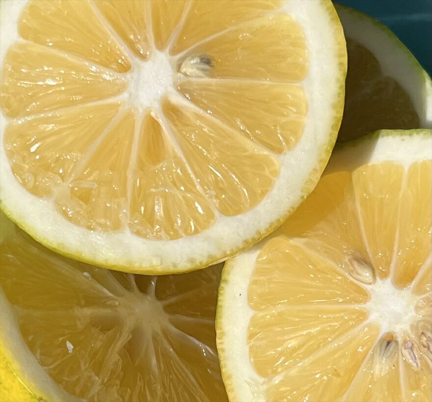 【ふるさと納税】丹波市産　檸檬｛山麓のレモン｝ 1.2kg サムネイル3