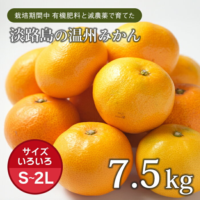 片山農園の淡路島みかん(温州みかん)7.5kg【サイズいろいろS〜2Lサイズ】