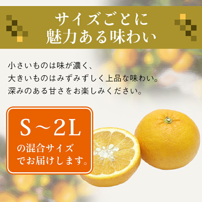 【ふるさと納税】片山農園の淡路島産新甘夏7.5kg【サイズいろいろS〜2Lサイズ】 サムネイル3