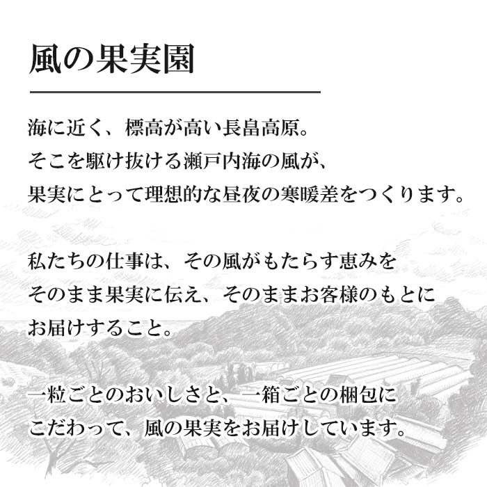 【ふるさと納税】長畠高原苺園 朝採り大粒いちご【1月より順次出荷・お届け日指定不可】 サムネイル2