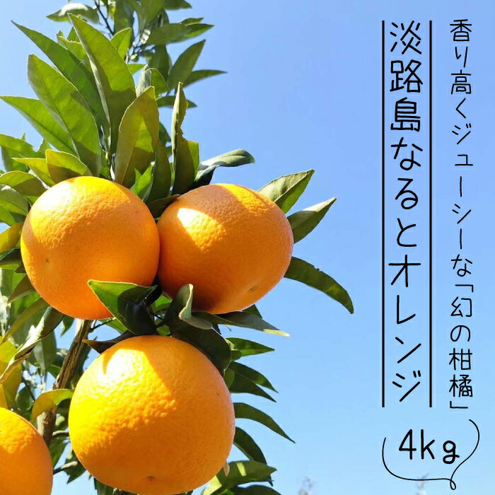 淡路島なるとオレンジ 4kg 【発送時期2026年3月～4月頃】