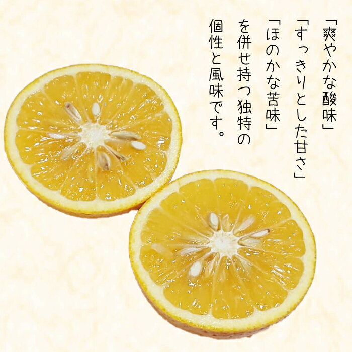 【ふるさと納税】淡路島なるとオレンジ 4kg 【発送時期2026年3月～4月頃】 サムネイル3