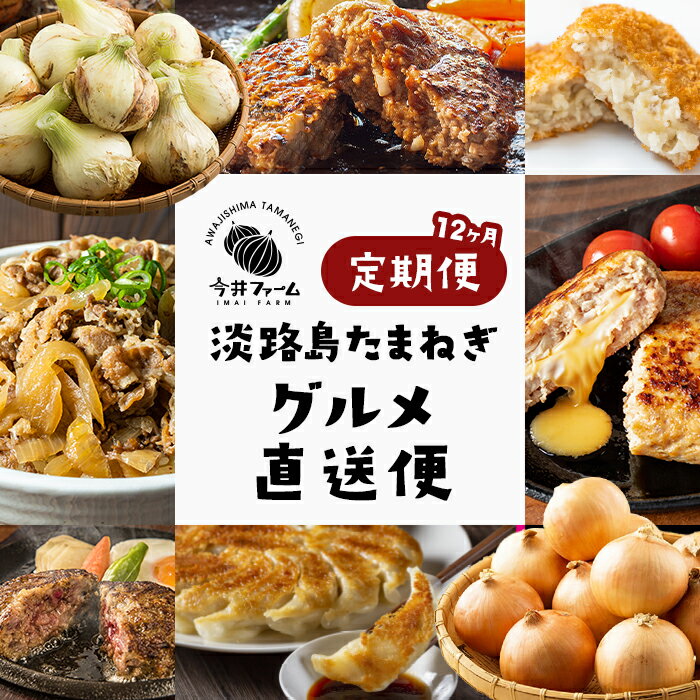 【定期便12ヶ月】今井ファームの淡路島たまねぎグルメ直送便