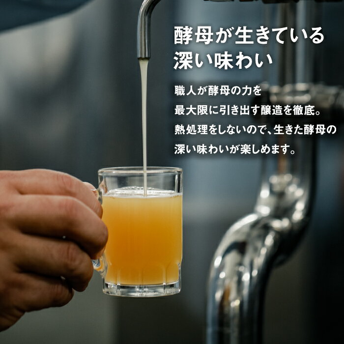 【ふるさと納税】あわぢびーる島レモン6本セット《淡路島のクラフトビール》 ビール ご当地ビール サムネイル3