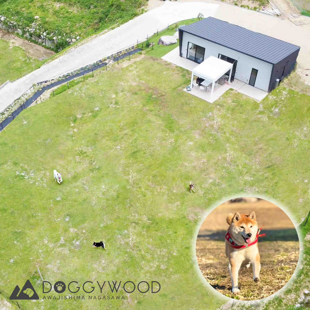 淡路島で愛犬と泊まれる宿＜DOGGYWOOD＞で使える宿泊ご優待券60,000～100,000円分