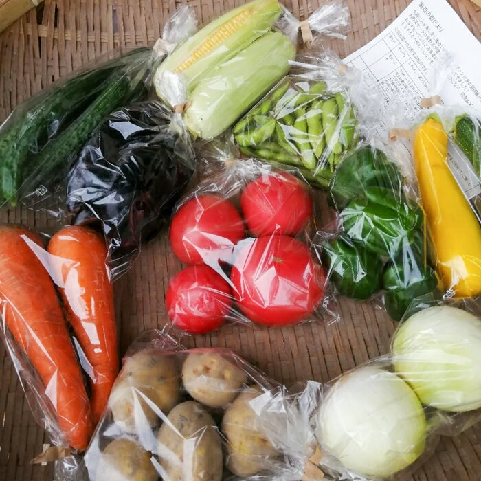 【ふるさと納税】ご家庭向けお野菜セット〜旬のおまかせBOX〜2回・4回・12回お届け - 画像3
