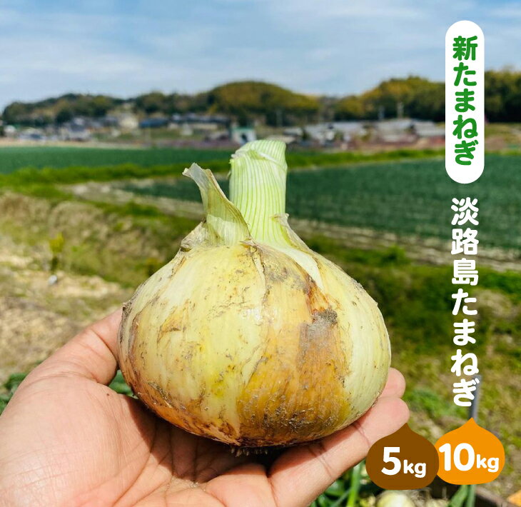 【新たまねぎ】淡路島たまねぎ(5キロ・10キロ)【発送時期：2026年5月頃】