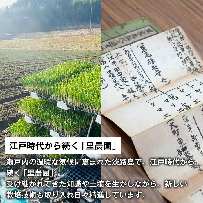 【ふるさと納税】淡路島たまねぎ（5キロ・10キロ） 玉ねぎ 淡路島産 甘い オニオン サムネイル2