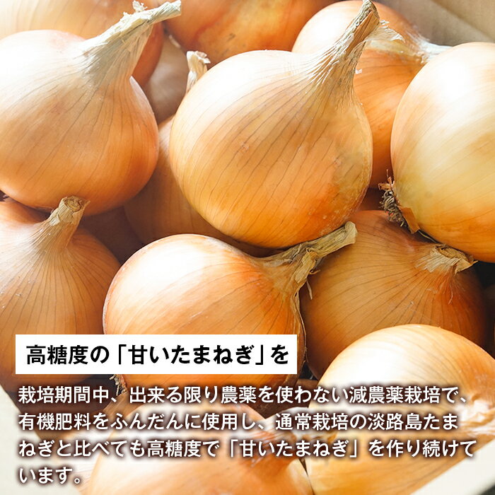 【ふるさと納税】淡路島たまねぎ（5キロ・10キロ） 玉ねぎ 淡路島産 甘い オニオン サムネイル3