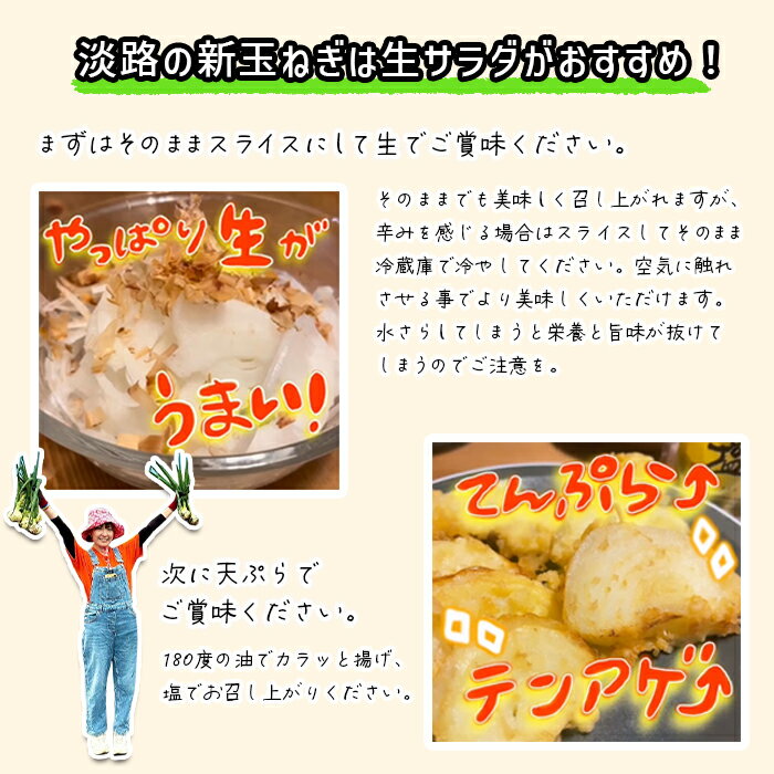 【ふるさと納税】淡路島産ブランド新玉ねぎ 極早生 「にじたま」 3kg～20kgダンボール入り【発送時期2026年2月中旬～4月頃】 - 画像3