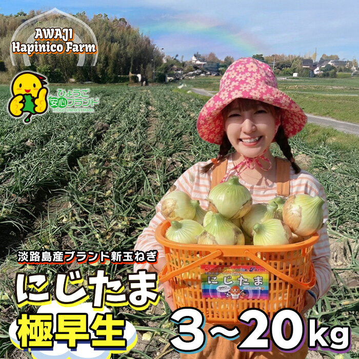 淡路島産ブランド新玉ねぎ 極早生 「にじたま」 3kg～20kgダンボール入り【発送時期2026年2月中旬～4月頃】