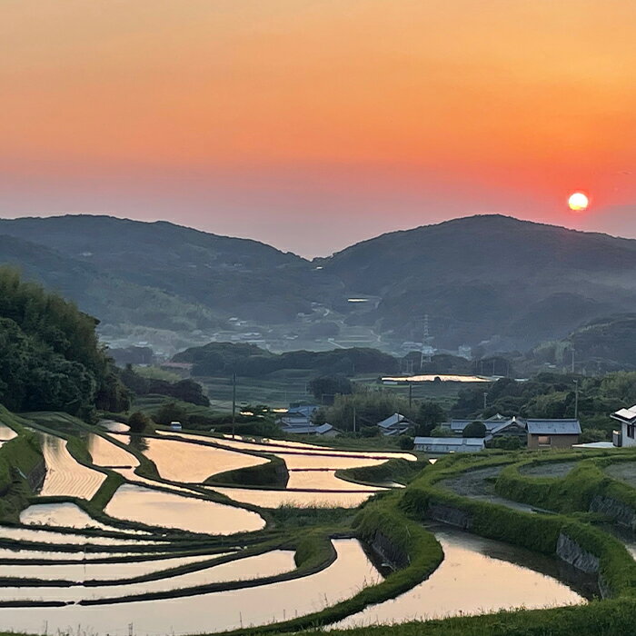 【ふるさと納税】《玄米》淡路島の棚田米 5kg・10kg - 画像3