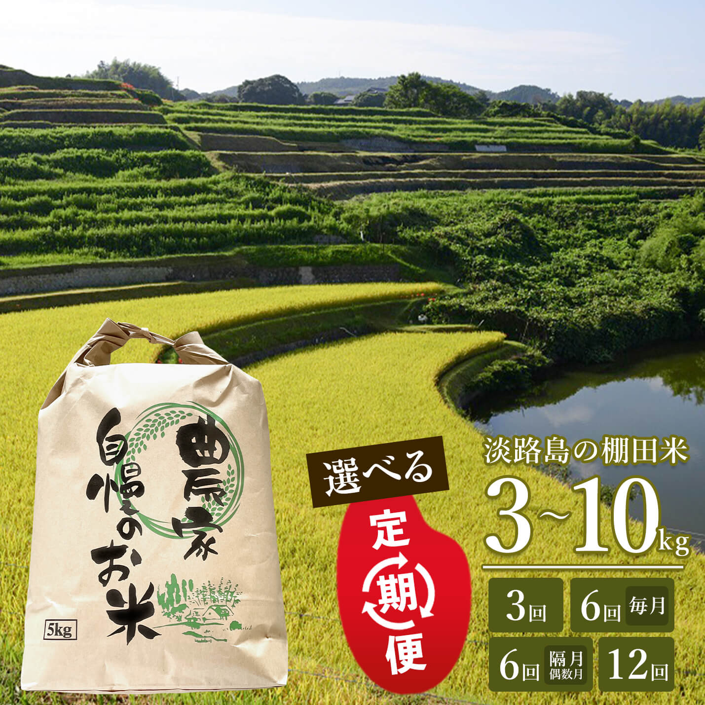 【定期便】淡路島の棚田米　3～10kg × 3回・6回・12回・隔月6回
