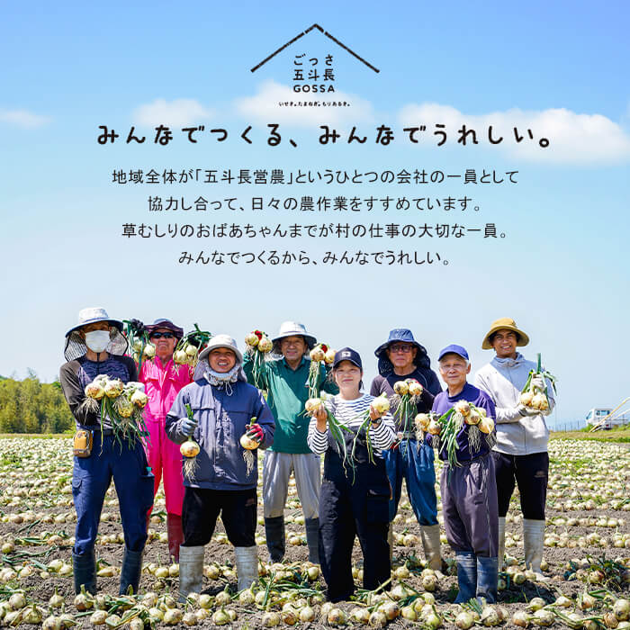【ふるさと納税】五斗長たまねぎ 5kg・10kg・20kg　淡路島 玉ねぎ 甘い オニオン 玉葱 淡路島産 野菜 サムネイル2