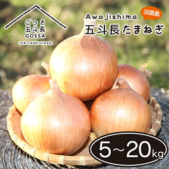 五斗長たまねぎ 5kg・10kg・20kg　淡路島 玉ねぎ 甘い オニオン 玉葱 淡路島産 野菜