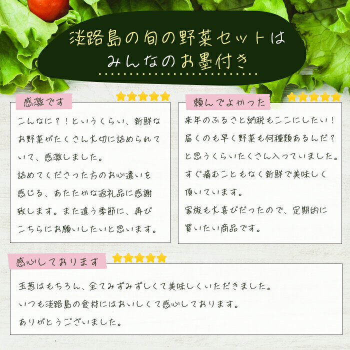 【ふるさと納税】淡路島の旬の野菜セット（10～15種類程度） お試し 詰め合わせ 野菜 国産 新鮮 サムネイル2