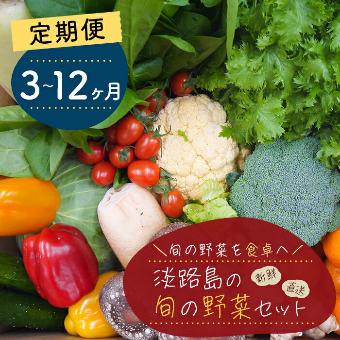 【定期便】淡路島の旬の野菜セット 3ヶ月・12ヶ月コース（月1回×3回・12回） 詰め合わせ 野菜 国産 新鮮
