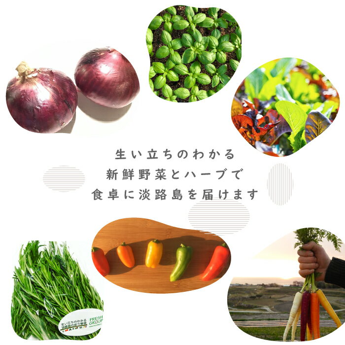 【ふるさと納税】フレッシュグループ淡路島彩り野菜と香るハーブセット　野菜セット 農家直送 お試し - 画像3