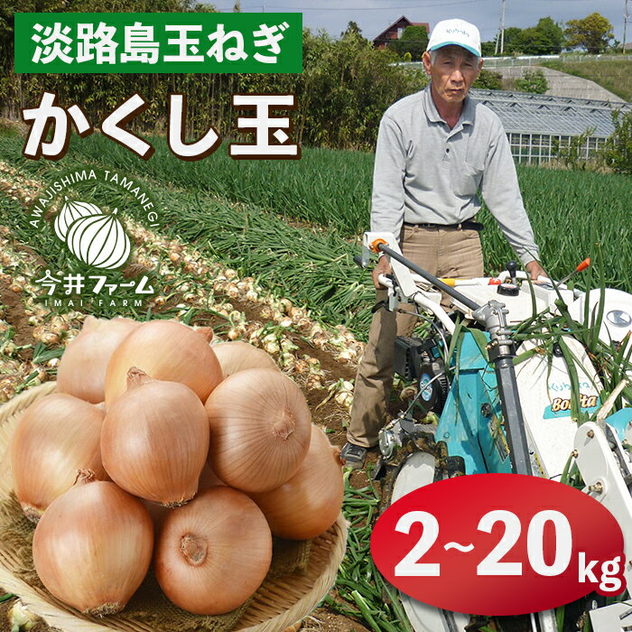 今井ファームの淡路島たまねぎ「かくし玉」 2kg～20kg　玉ねぎ オニオン 淡路島産 玉葱